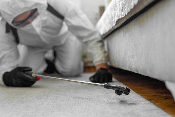 Professional Bed Bug Control technician working in Mertzon, TX