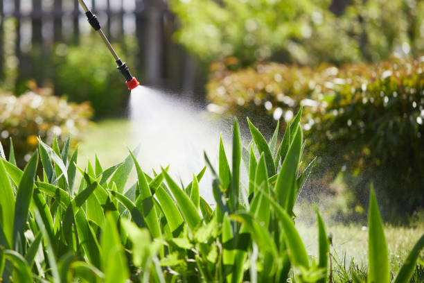 24/7 Emergency Bed Bug Control experts in Mertzon, TX